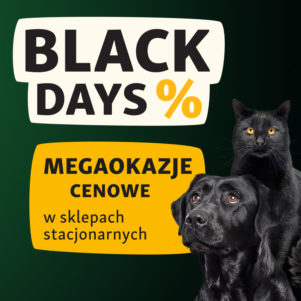BLACK DAYS w Maxi Zoo! - Galeria Korona Kielce