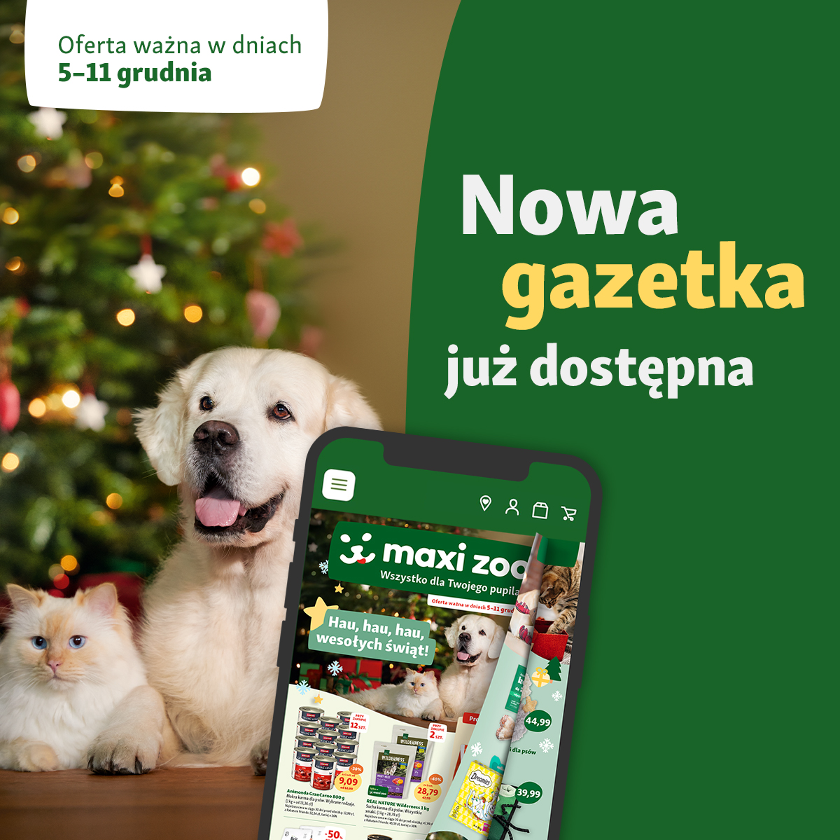 Nowa gazetka - Galeria Korona Kielce