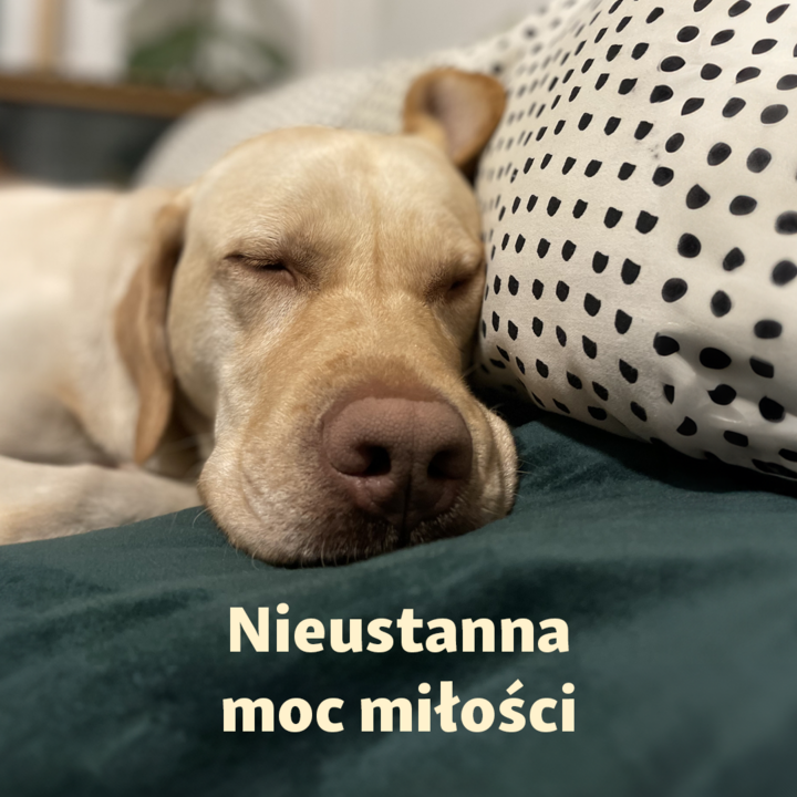 Blue Monday - Galeria Korona Kielce