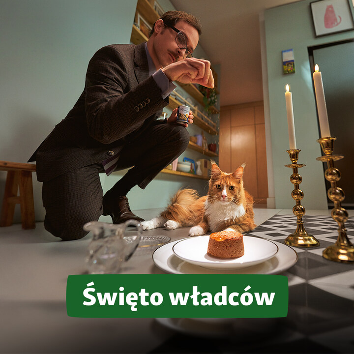 Z okazji Światowego Dnia Kota życzymy dozgonnego oddania Waszym władcom! - Galeria Korona Kielce