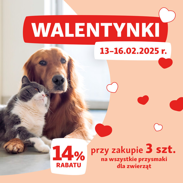 Zrób pupilowi walentynkowy prezent! - Galeria Korona Kielce