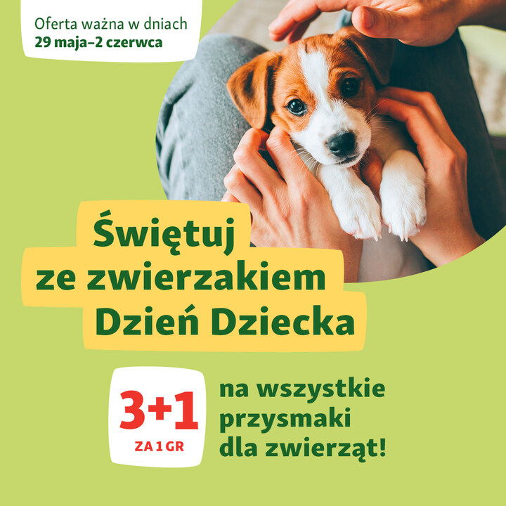 Promocja na Dzień Dziecka - Galeria Korona Kielce