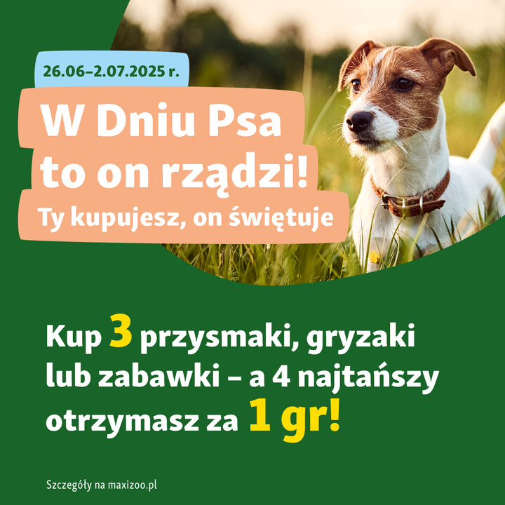 1 lipca świętujemy Dzień Psa - Galeria Korona Kielce