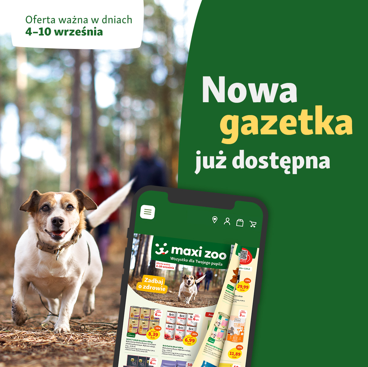 3…2…1… AKCJA! - Galeria Korona Kielce