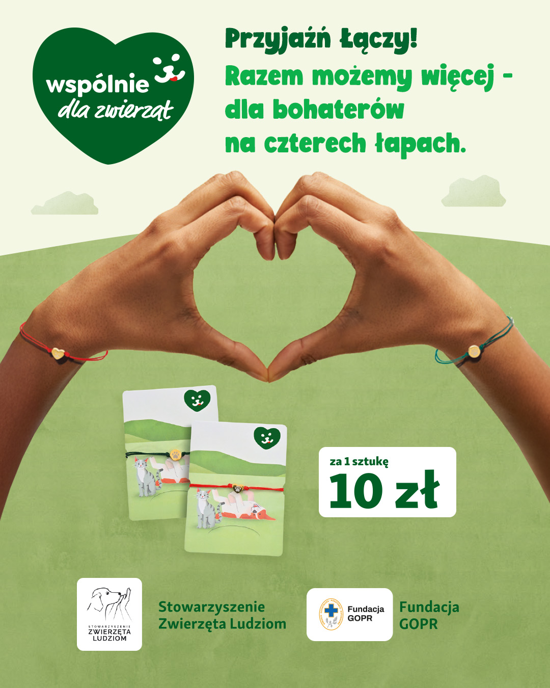 Akcja charytatywna – Przyjaźń łączy – Wspólnie dla Zwierząt - Galeria Korona Kielce